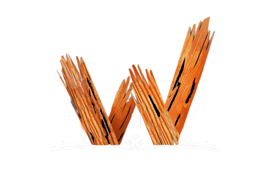 لوکوWimehr